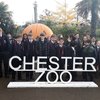 Chester Zoo trip